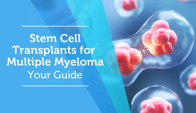 Stem Cell Transplants For Multiple Myeloma: Your Guide | Mymyelomateam