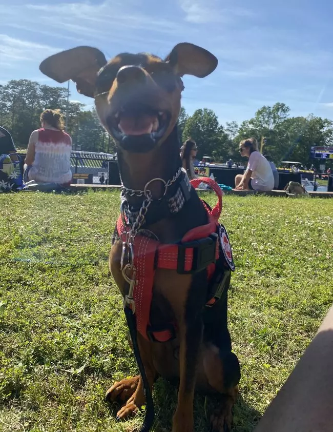 Can You Have A Service Dog For Rheumatoid Arthritis