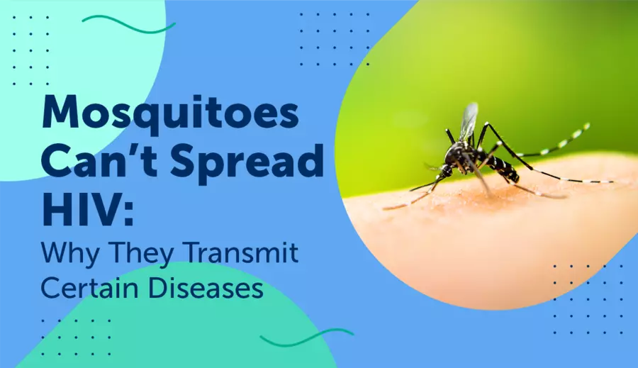 Mosquitoes Can’t Spread HIV Why They Transmit Certain Diseases myHIVteam