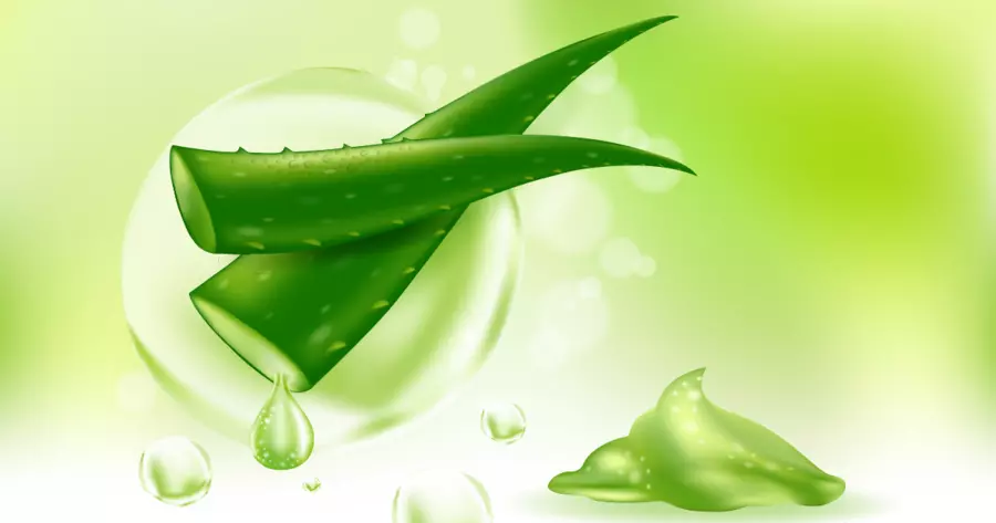 Can Aloe Vera Help Relieve Seborrheic Dermatitis? | MySebDermTeam
