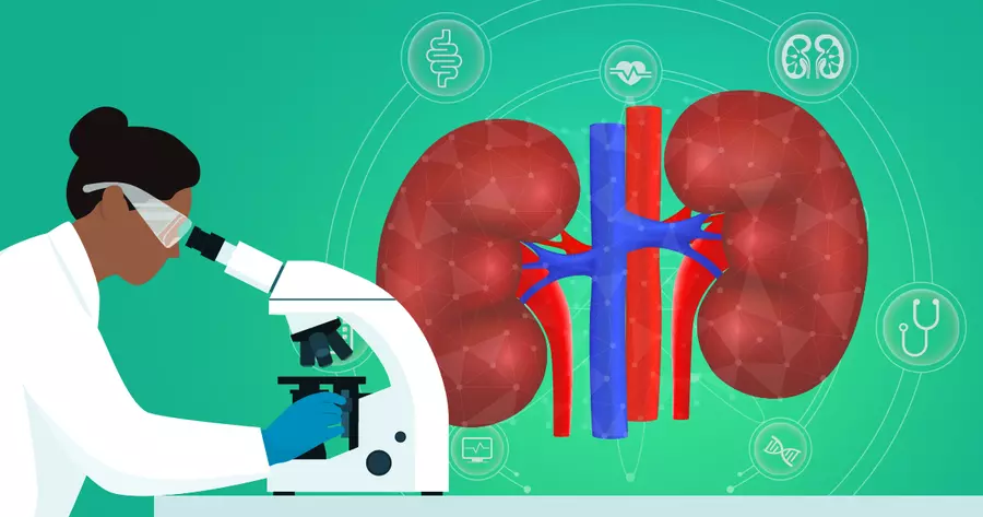 Grade 1 Rcc Clear Cell Renal Cell Carcinoma: Stages, Grades, and How It Progresses ...