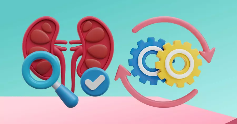 What Is Creatinine? Kidney Function Explained | myIgANteam