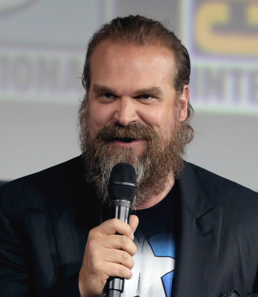 David Harbour wearing a dark jacket and holding a microphone while speaking.