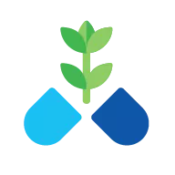 Vitamin B6 and supplement bottle